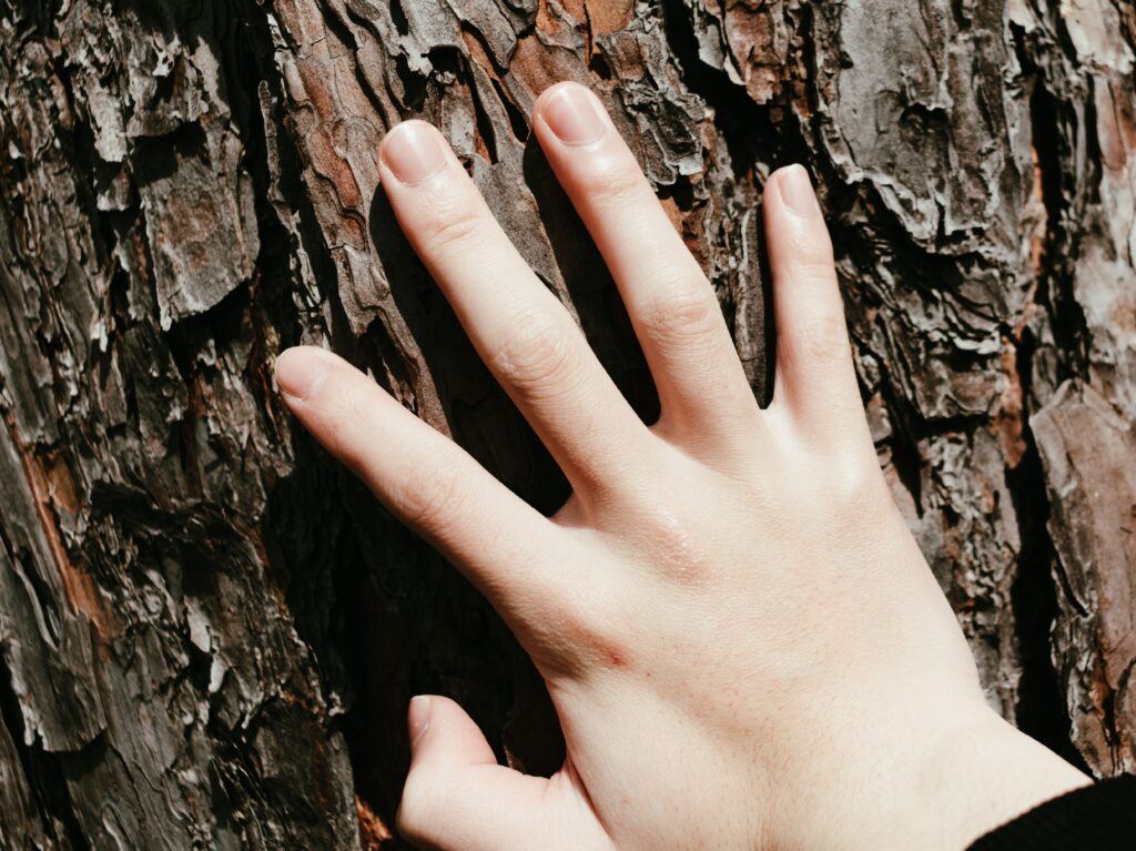 What Causes Dry Skin on Hands? 4 Big Reasons A close-up image of a human hand gently touching textured tree bark, capturing nature's detail.